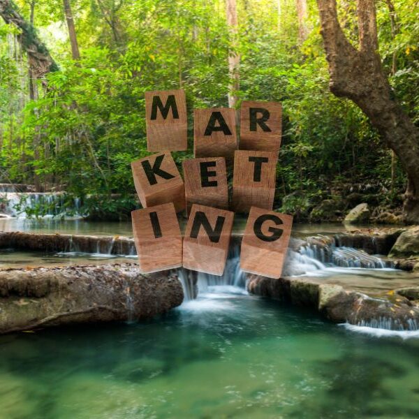 Gestão Municipal de Turismo educacao marketing