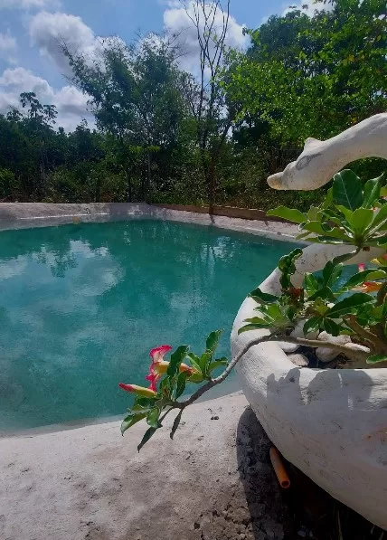 Chácara Encanto da Mata