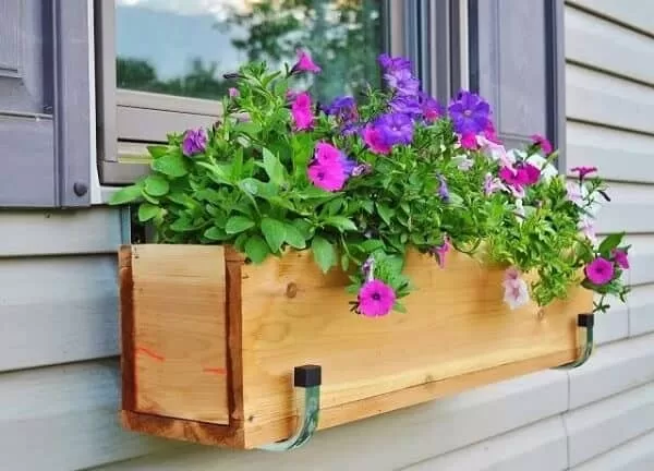 Jardineiras nas janelas