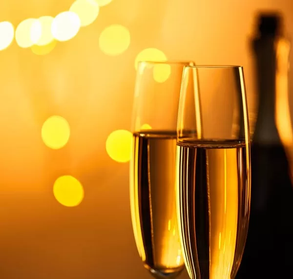 Reveillon bebedouro 1