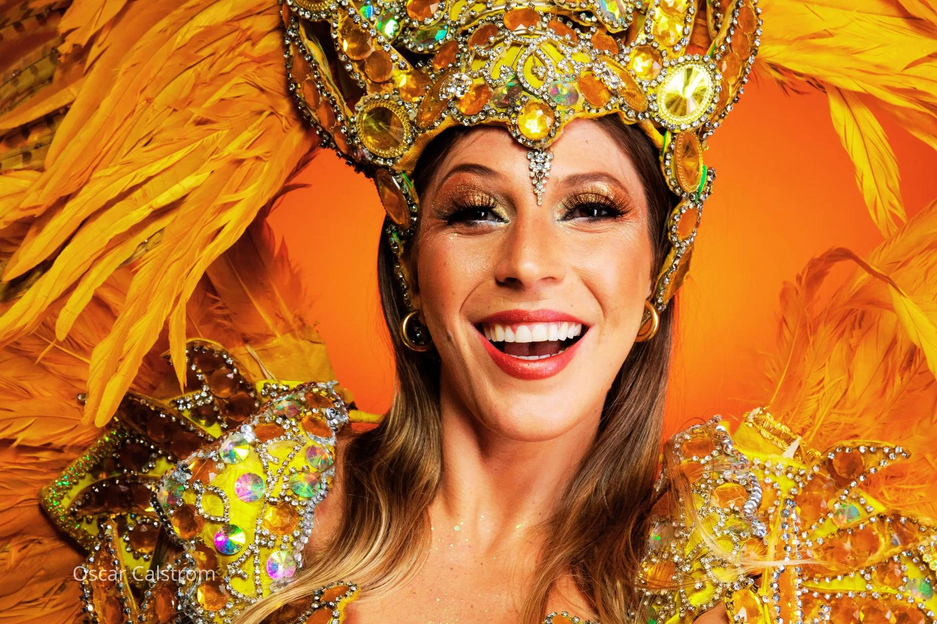 Carnaval bebedouro blocos edicula chacara