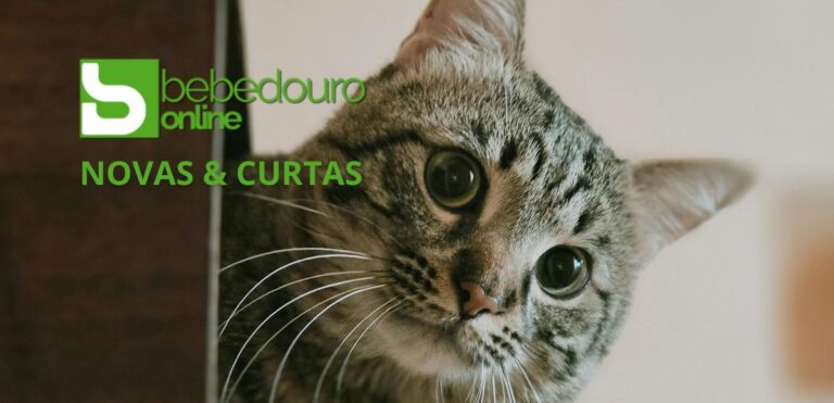 Bebedouro sp novidades novas e curtas