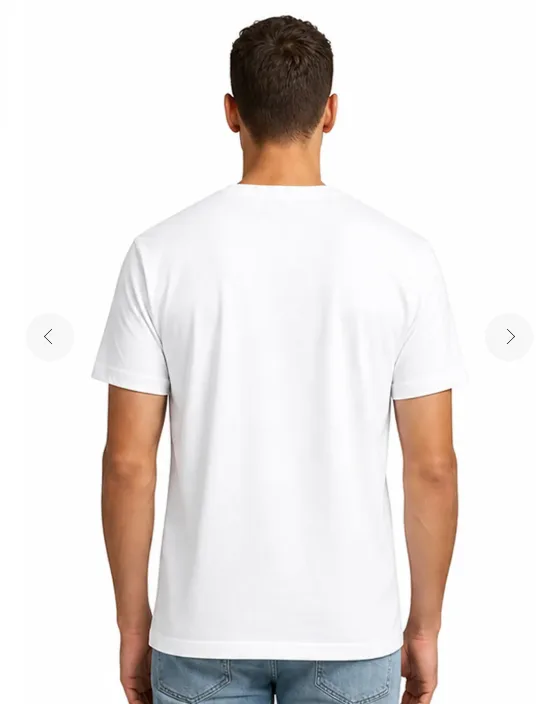 Camiseta Manga Curta Masculino Bordada Aéropostale2