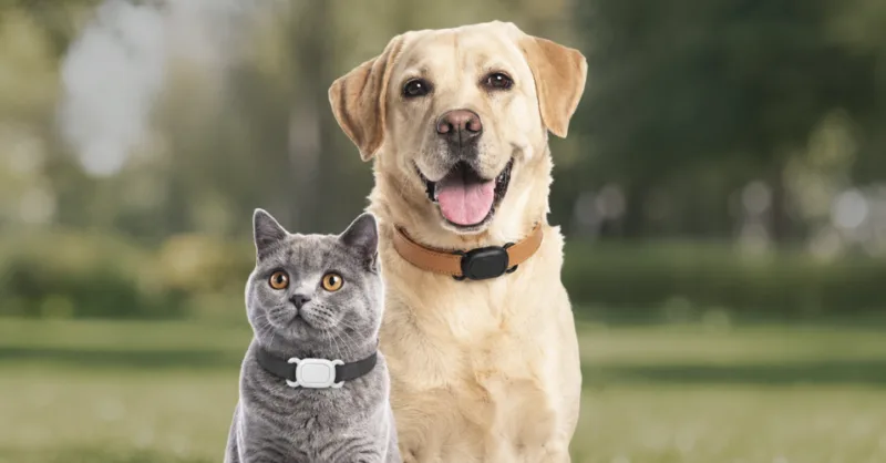 Localizador PET Xiaomi Tag4