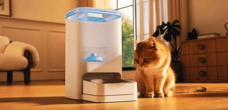 Alimentador automatico gatos cachorros