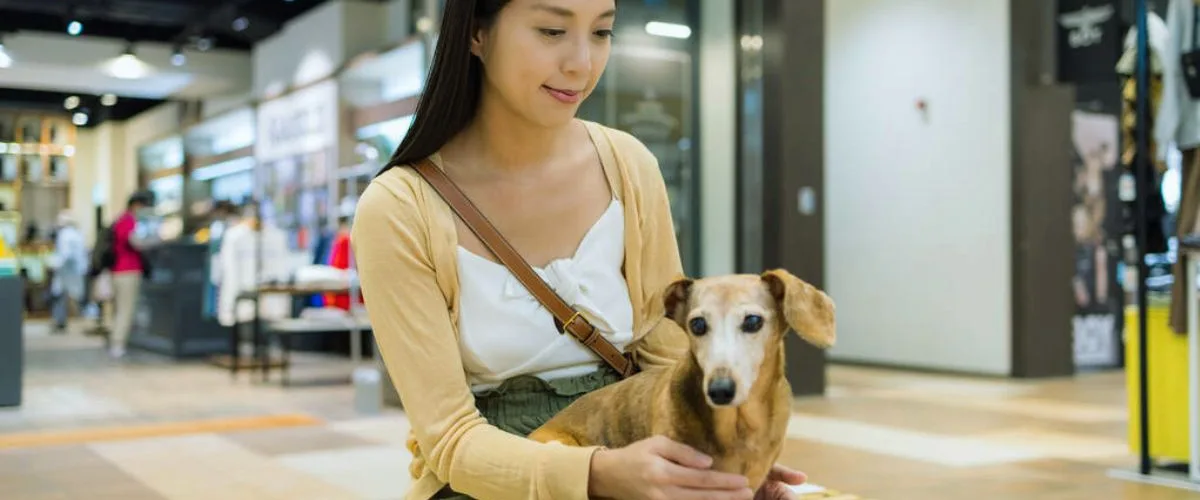 comercio_shopping_pet_friendly Comercio shopping pet friendly