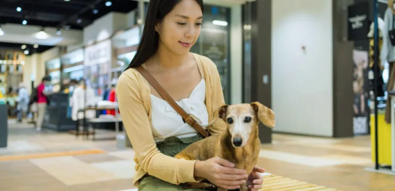 Comercio shopping pet friendly
