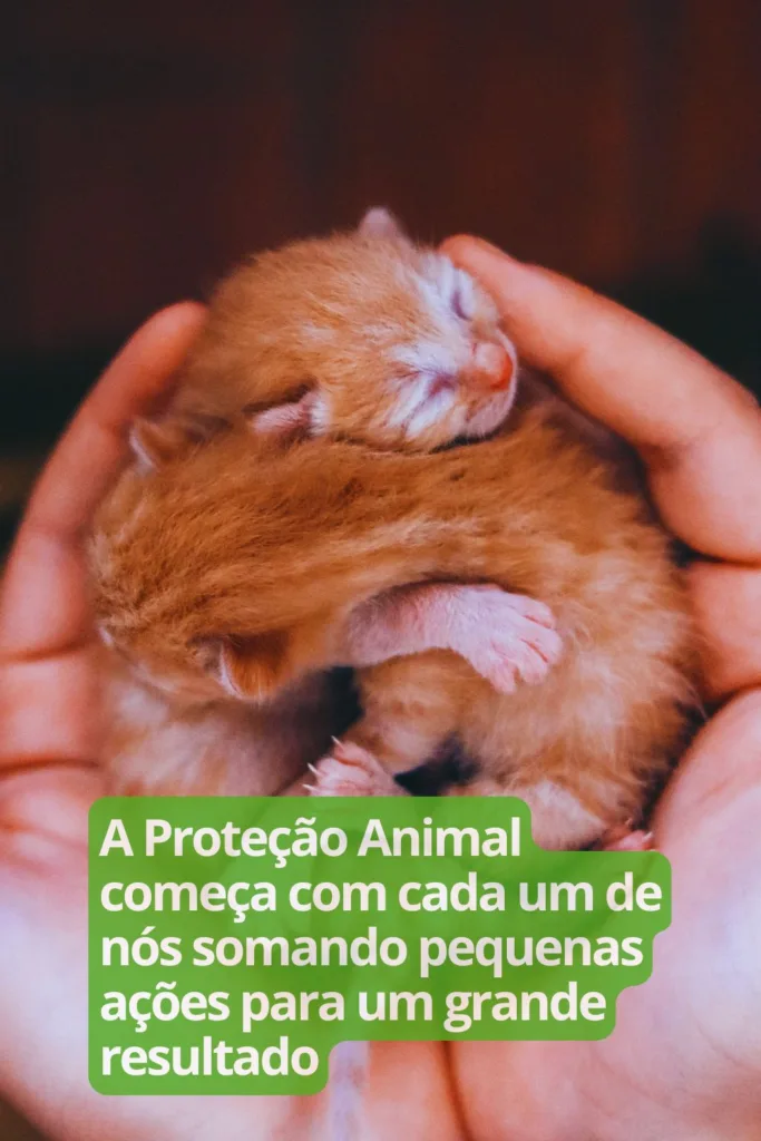 A Proteção Animal começa com cada um de nós somando pequenas ações para um grande resultado