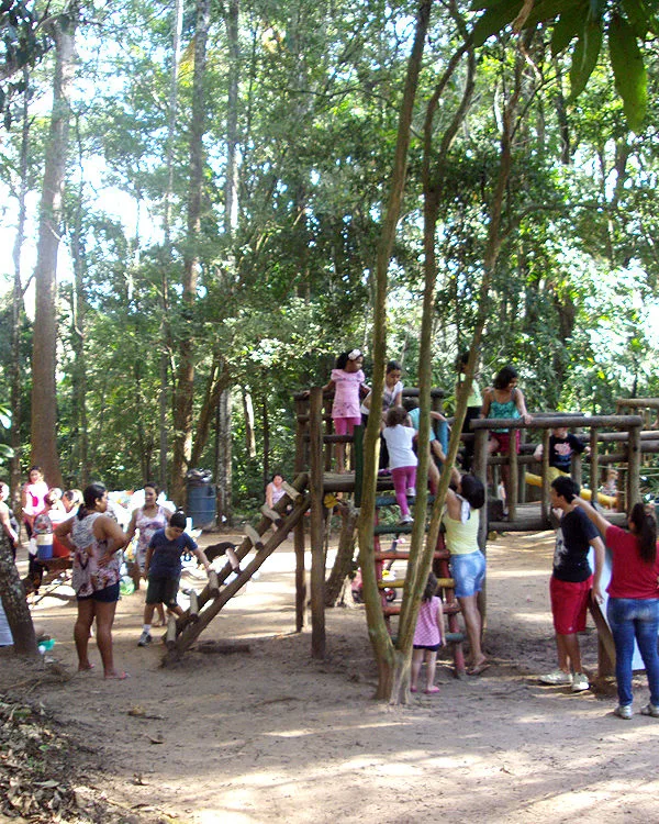 Trilha dentro da Floresta Estadual de Bebedouro-3