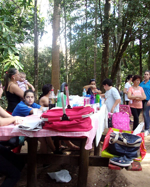 Trilha dentro da Floresta Estadual de Bebedouro-4