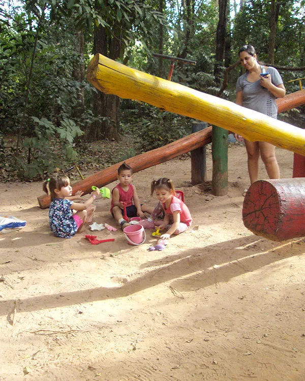 Trilha dentro da Floresta Estadual de Bebedouro-5