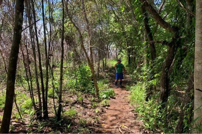 Trilha dentro da Floresta Estadual de Bebedouro-8