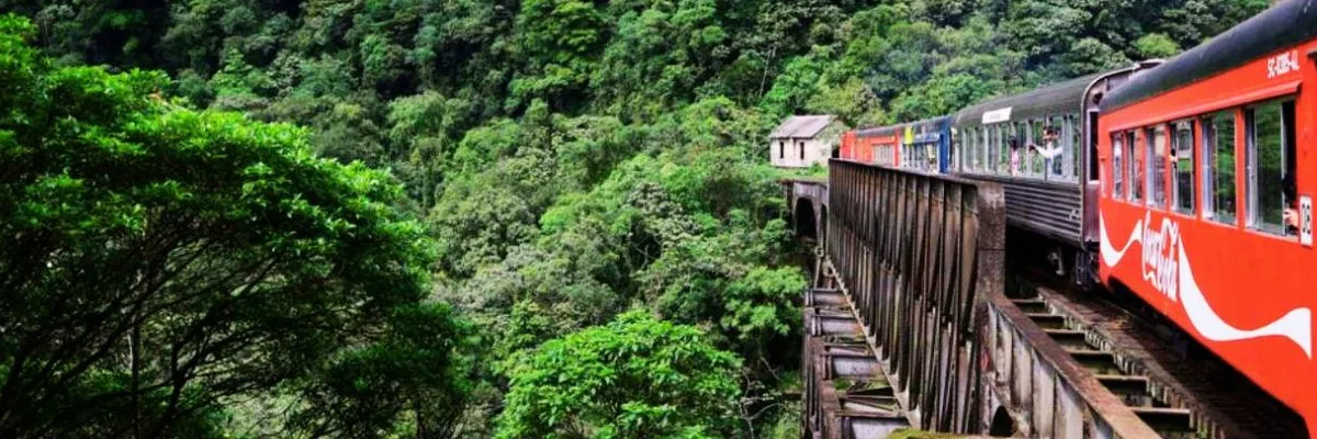 Viagem de Trem pela Serra do Mar bebedouro sp