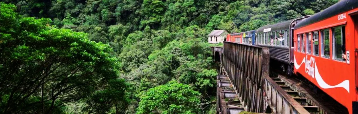 Viagem de Trem pela Serra do Mar: Uma das 10 mais belas experiências ferroviárias do mundo 1 Viagem de Trem pela Serra do Mar bebedouro sp