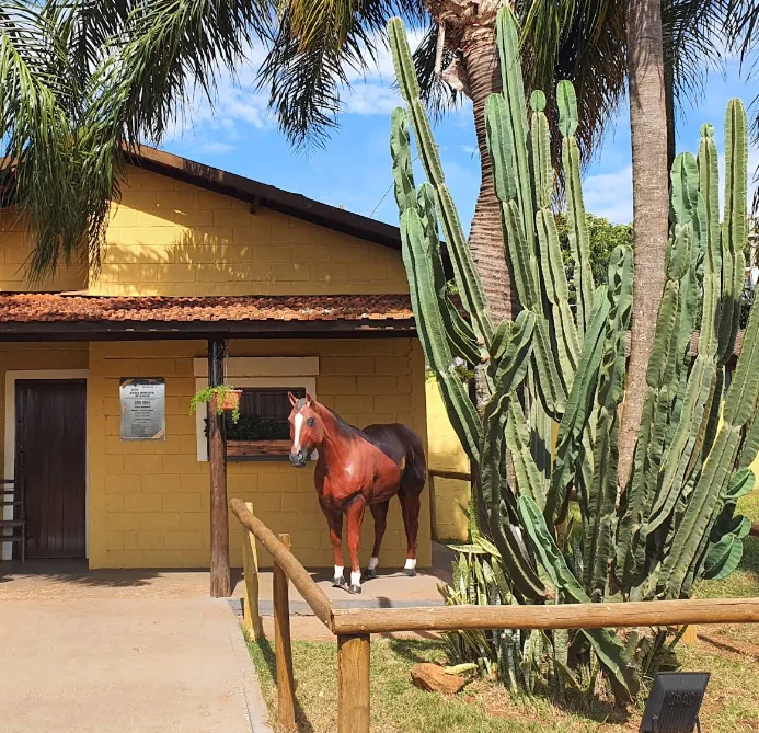 Museu do Cavalo de Colina-sp-5