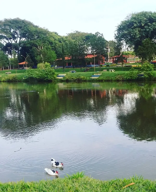Parque do Lago Jaborandi-sp-4