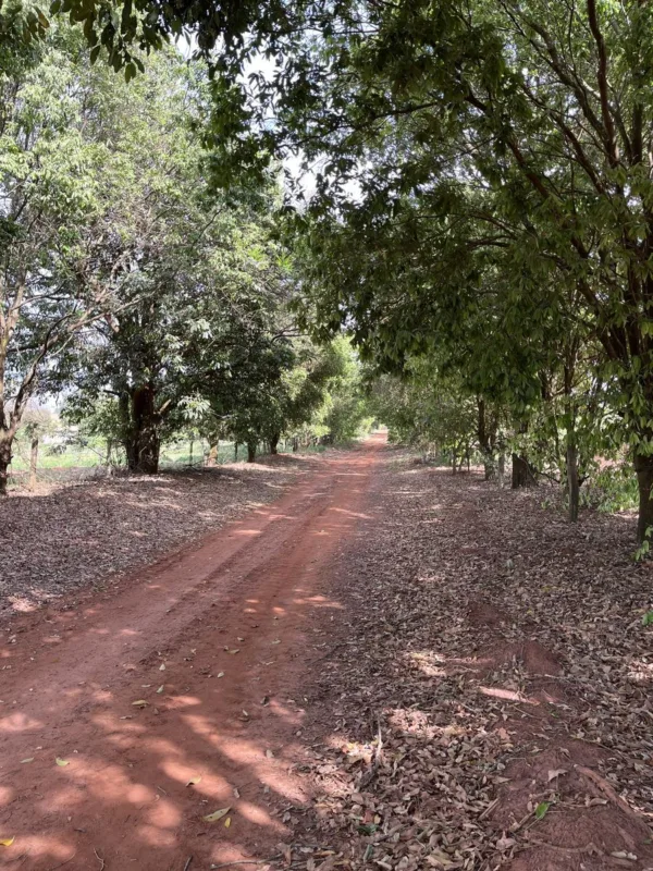 Rota trilha de São José monte azul paulista-9